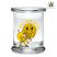 420 Classic Pop Top Jar Miles of Smiles - Large