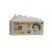 Image 1 of Ten Pound Note Roach