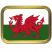 2oz Flag Tins - Welsh Flag